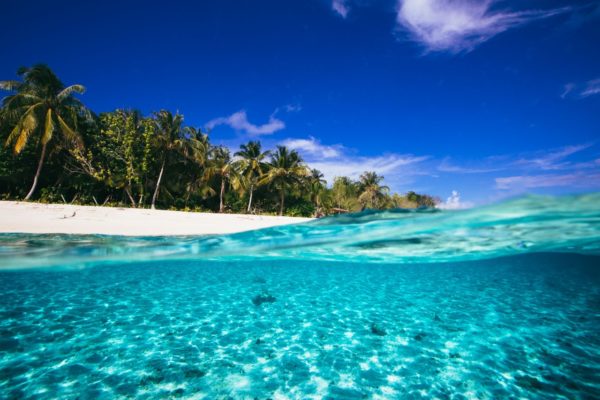 Togat Nusa Surf Retreat6