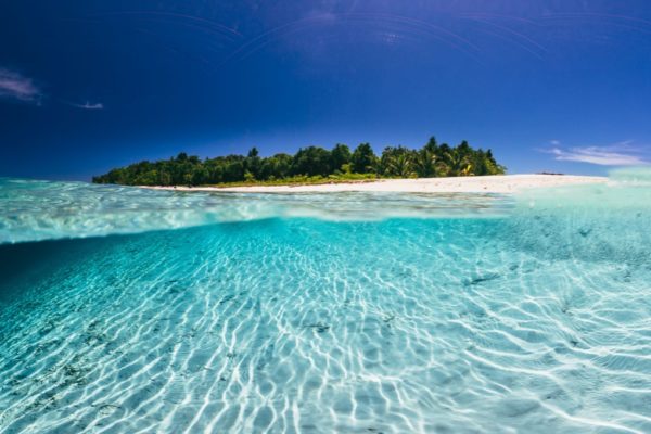 Togat Nusa Surf Retreat8